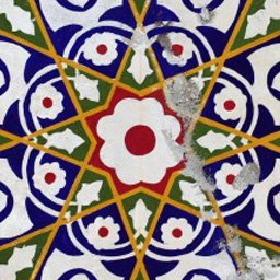 Profile Picture of Council Of Aust University Museums & Collections (@KSAPYC) on Twitter