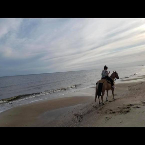 Profile Picture of Jozie Shiflett (@joziebea) on Poshmark