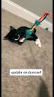 Profile Picture of   Duncan (@dapper.duncan)... (@dapper.duncan) on Tiktok