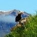 Profile Picture of Marilyn Steckel (@marilyns1062) on Pinterest