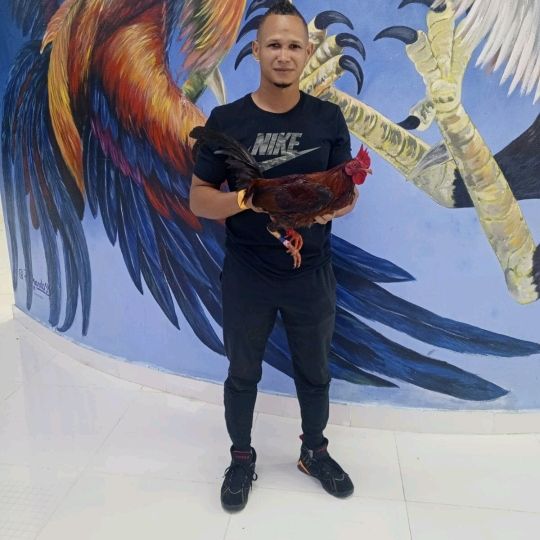 Profile Picture of Algenis Pimentel (@algenispimentel25) on Tiktok