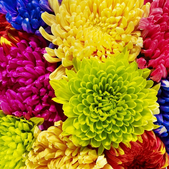 Profile Picture of Shantal Johnson (@shantol13) on Poshmark