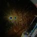 Profile Picture of Nicholas Rust (@nicholas.rust.376) on Facebook