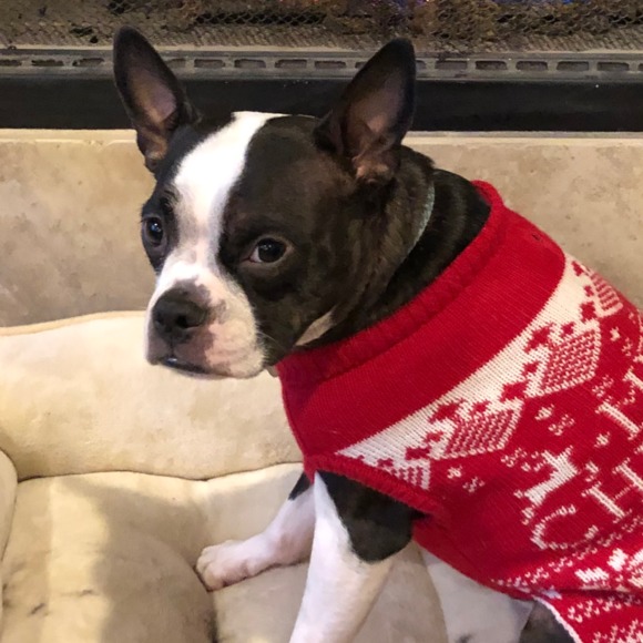 Amber Tavis - Poshmark Profile Picture of Amber Tavis (@atothejaye) on Poshmark