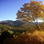 Profile Picture of Tim Gardner (@thetravelmonkey) on Flickr