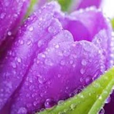 Profile Picture of Kelli Swanson (@litty_bitty) on Twitter