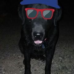 Profile Picture of Jacob Pineda (@JacobPineda11) on Twitter