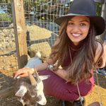 Profile Picture of Joanna George-Joseph (@joanna.george) on Instagram