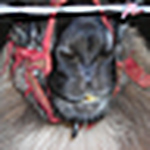 Profile Picture of ed casey (@edcasey) on Flickr