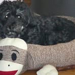 Profile Picture of Carolyn Lawler Liskiewicz (@carolyn.liskiewicz) on Facebook