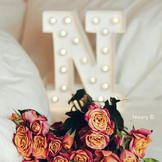 Profile Picture of al.nour (@al.nour) on Instagram