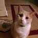 Profile Picture of Steve Lipscomb (@steve.lipscomb.31) on Facebook