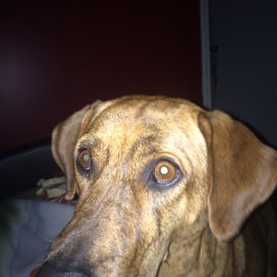 Profile Picture of Brian MacKinnon (@brianpmackinnon) on Twitter