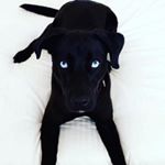 Profile Picture of marshall_jackson123 (@marshall_jackson123) on Instagram