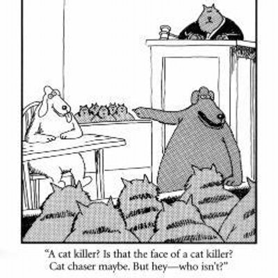 Profile Picture of Kevin McLachlan (@kevtyme49) on Twitter