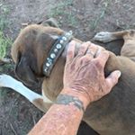 Profile Picture of David Sessions (@sessions.david) on Instagram