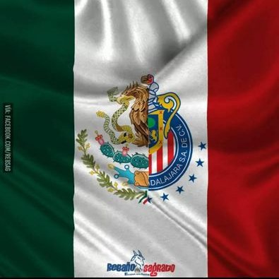 Profile Picture of Alexander Tavarez (@Atav1103) on Twitter