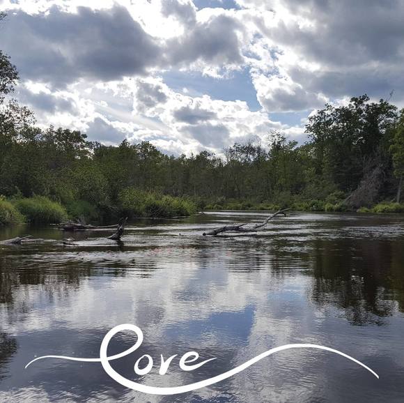 Profile Picture of Annique Birtzer (@anniquebirtzer) on Poshmark