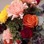 Profile Picture of Nancy Sova (@dufferin_blooms) on Instagram
