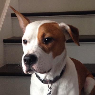 Greg Gerling - Twitter Profile Picture of Greg Gerling (@greggerling) on Twitter