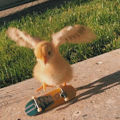 Profile Picture of Bryan Son (@bryanson6396) on Youtube