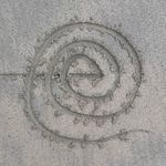 Profile Picture of Yosef (@eddyededdies) on Instagram