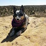 Profile Picture of Heather Dostaler (@heatherdostaler) on Instagram