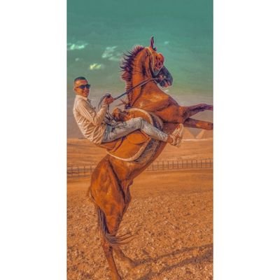 Profile Picture of Fouad-ashour ⚠️ إأبن_آالسلطآان 🔥👑 (@FouadAshour12) on Twitter