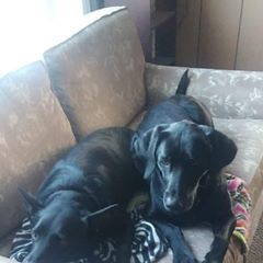 Kara Jacobs - Tiktok Profile Picture of Kara Jacobs (@karajacobs4) on Tiktok