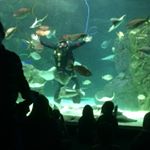 Profile Picture of Casey Huang (@caseyhuang4) on Instagram