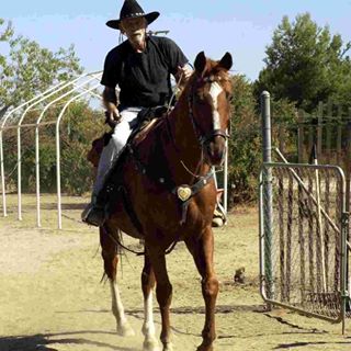 Profile Picture of Jerry Twardowski (@Doubledran) on Facebook