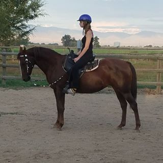 Profile Picture of Sherri Cassera Brown (@sherri.brown.9638) on Facebook