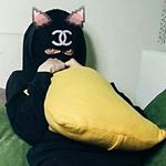 Profile Picture of отабек (@mindyfactory) on Instagram