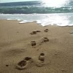 Profile Picture of Roberta Garau (@Roberta-Garau) on Facebook