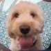 Profile Picture of Jeff Stapleton (@jeff.stapleton.376) on Facebook