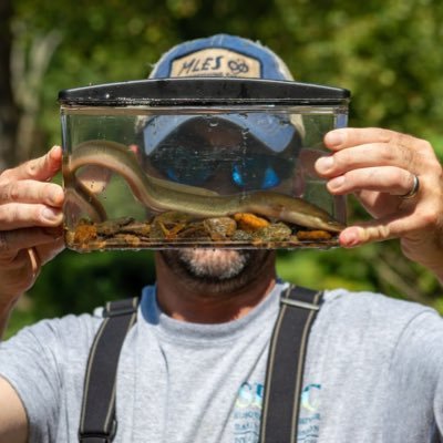 Profile Picture of Aaron Henning (@ichthyoAaron) on Twitter