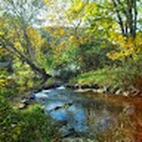 Profile Picture of Rita Staley (@rita-staley-1) on Quora