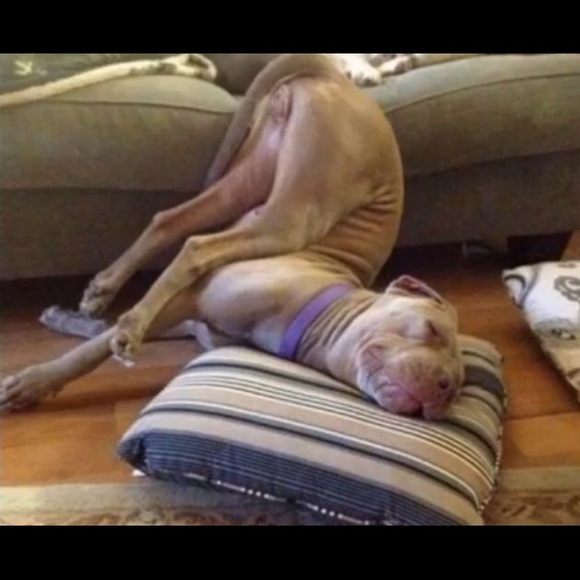 Giannina Garcia - Poshmark Profile Picture of Giannina Garcia (@gianni2525) on Poshmark