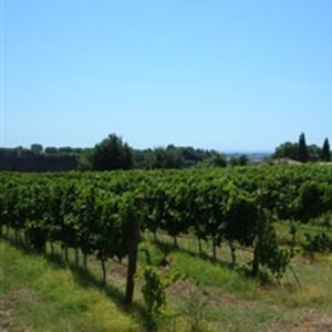 Profile Picture of Mark Shimeld (@aziendasinisi) on Myspace