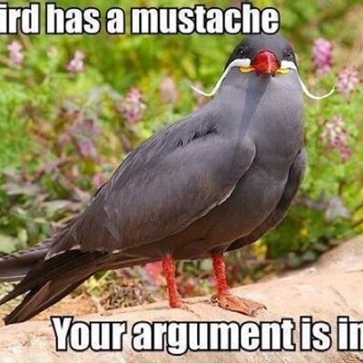 Profile Picture of Zachary Sandoval (@Zac_Avalos) on Twitter