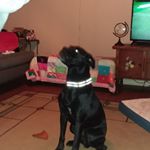 Profile Picture of Kevin McDougald (@kevin.mcdougald.33) on Instagram