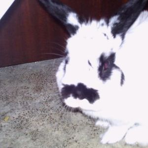 Profile Picture of Peggy Peters (@378804480) on Myspace
