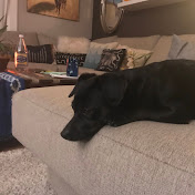 Profile Picture of Michael Powers (@ThePowers5485) on Youtube