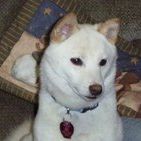 Profile Picture of Shannon Brickle-Dillon (@kirbyhaley) on Pinterest