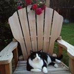 Profile Picture of April Adamson (@arkadamson) on Instagram