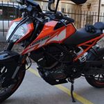 Profile Picture of Nicholas Leonardi (@nikoleo01) on Instagram