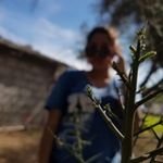 Profile Picture of Cecilia Ordaz (@cecilia_ordaz.05) on Instagram