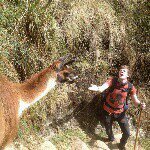 Profile Picture of Kevin Conway (@kevconway) on Instagram