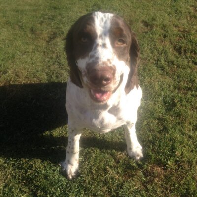 Profile Picture of Daniel Milner (@DMilner_480) on Twitter