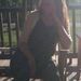 Profile Picture of Nancy Swan (@nancyswecker) on Pinterest